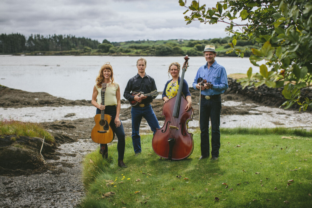 photo of event act Foghorn Stringband (USA) LPostponed due to Coronavirus